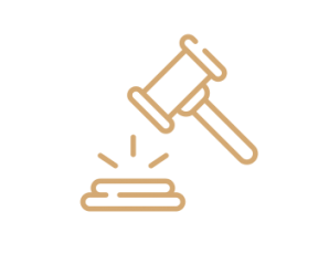 Litigation and dispute settlement.